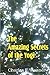The Amazing Secrets of the Yogi