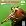 The Charles Mingus Quintet + Max Roach