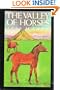 Valley of Horses: A Novel