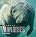 Face to Face with Manatees (Face to Face with Animals)