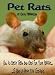 Pet Rats