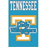 Tennessee Volunteers NCAA Applique Banner Flag (44x28) Lady Vols