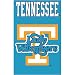 Tennessee Volunteers NCAA Applique Banner Flag (44"x28") "Lady Vols"