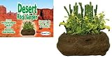 Desert Rock Garden