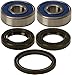 All Balls Wheel Bearing and Seal Kit 25-1319