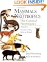 Mammals of the Neotropics (Volume 3 ): The Central Neotropics: Ecuador, Peru, Bolivia, Brazil