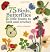 75 Butterflies, Bees, Birds & little beasts