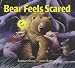 Bear Feels Scared