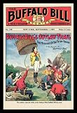 The Buffalo Bill Stories: Buffalo Bill\'s Outlaw Trail 20x30 poster