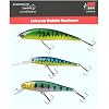 DAM Universal Wobblersortiment gro�