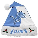 Detroit Lions Mistletoe Santa Hat