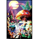 Generic Magic Valley Trippy Mushrooms Art Poster Print - 24x36 College Blacklight Poster Print, 23x35