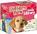 Big Barn Farm: Little Library