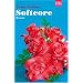 Softcore