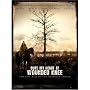 Bury My Heart At Wounded Knee (HBO) [DVD] [2007]