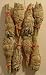 White Sage Baby Smudge Sticks - Bulk Lot of 8 - Native Scents