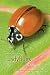 Ladybugs of Alberta: Finding the Spots and Connecting the Dots (Alberta Insects)