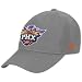 adidas Phoenix Suns Gray Basic Logo Wool Hat