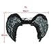 DAZONE Black Angel Feather Wings Costume