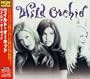 Wild Orchid