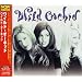 Wild Orchid