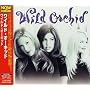 Wild Orchid