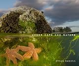 Under Cape Cod Waters [Hardcover]