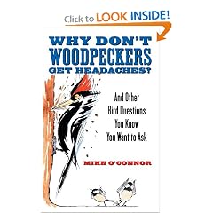 Why Don't Woodpeckers Get Headaches?: And Other Bird Questions You Know You Want to Ask by Mike O'Connor