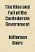 Search : The Rise and Fall of the Confederate Government