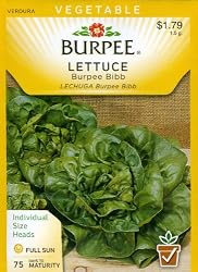 Burpee 55863 Lettuce, Head Burpee Bibb Seed Packet