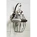 Quoizel Newbury Outdoor Wall Lantern - 14H in. Pewter