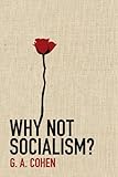 Why not socialism?
