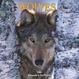 Wolves 2009 Calendar