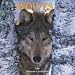 Wolves 2009 Calendar