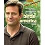 Birds of America