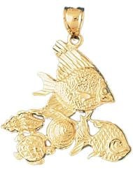 Dazzlers Solid 14 karats Gold Angelfish Goldfish Sea-Turtle Shell Charm Pendant available in three colors from jewelsberry (weights: 4.3 grams only)