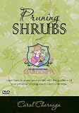 Pruning Shrubs with Your Personal Gardener