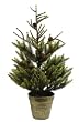 24" Artificial Potted Glittered Dwarf Spruce Evergreen Tree #LDS-708-24