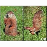 Delta Tru Life Animal Targets 14''X21'' Each 28''X42'' Set Description 108 Woodchuck Cottontail