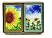 Congress Sunflower Playing Cards (Pack of 2)