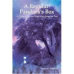 A Regular Pandora's Box: A Glimpse into the Mind of an Irregular Poet book cover