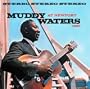 Muddy Waters Live At Newport 1960