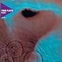 Meddle (Discovery Edition)