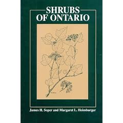 Shrubs of Ontario