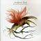 Andrew Bird