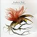 Andrew Bird, Fitz and the Dizzyspells Ep, 発売中