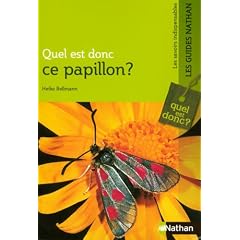 Quel est donc ce papillon ?