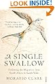 A Single Swallow: Following An Epic Journey From South Africa To South Wales
