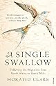 A Single Swallow: Following an Epic Journey from South Africa to South Wales