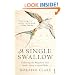 A Single Swallow: Following An Epic Journey From South Africa To South Wales